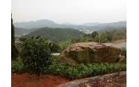 湖南華苑園林精心打造韶山慈銳書院綠化工程項目
